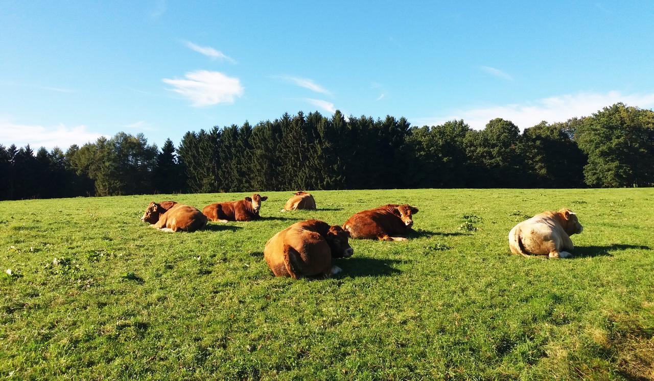 Graefrath Gaestehaus Neunkirchen-Seelscheid ภายนอก รูปภาพ