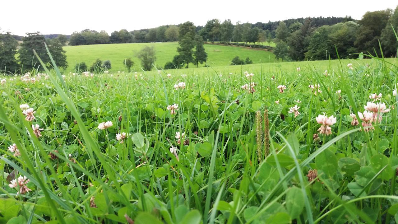 Graefrath Gaestehaus Neunkirchen-Seelscheid ภายนอก รูปภาพ